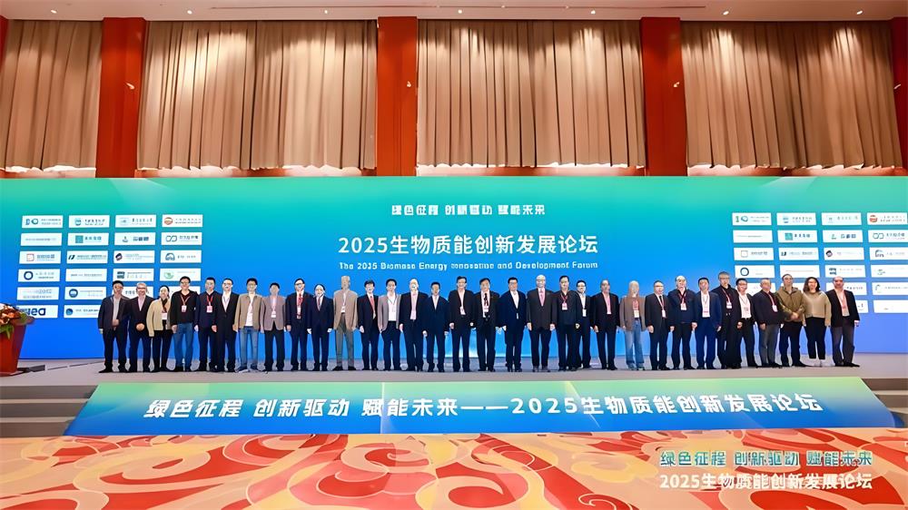 中国生物质能产业强势崛起：从规模扩张迈向