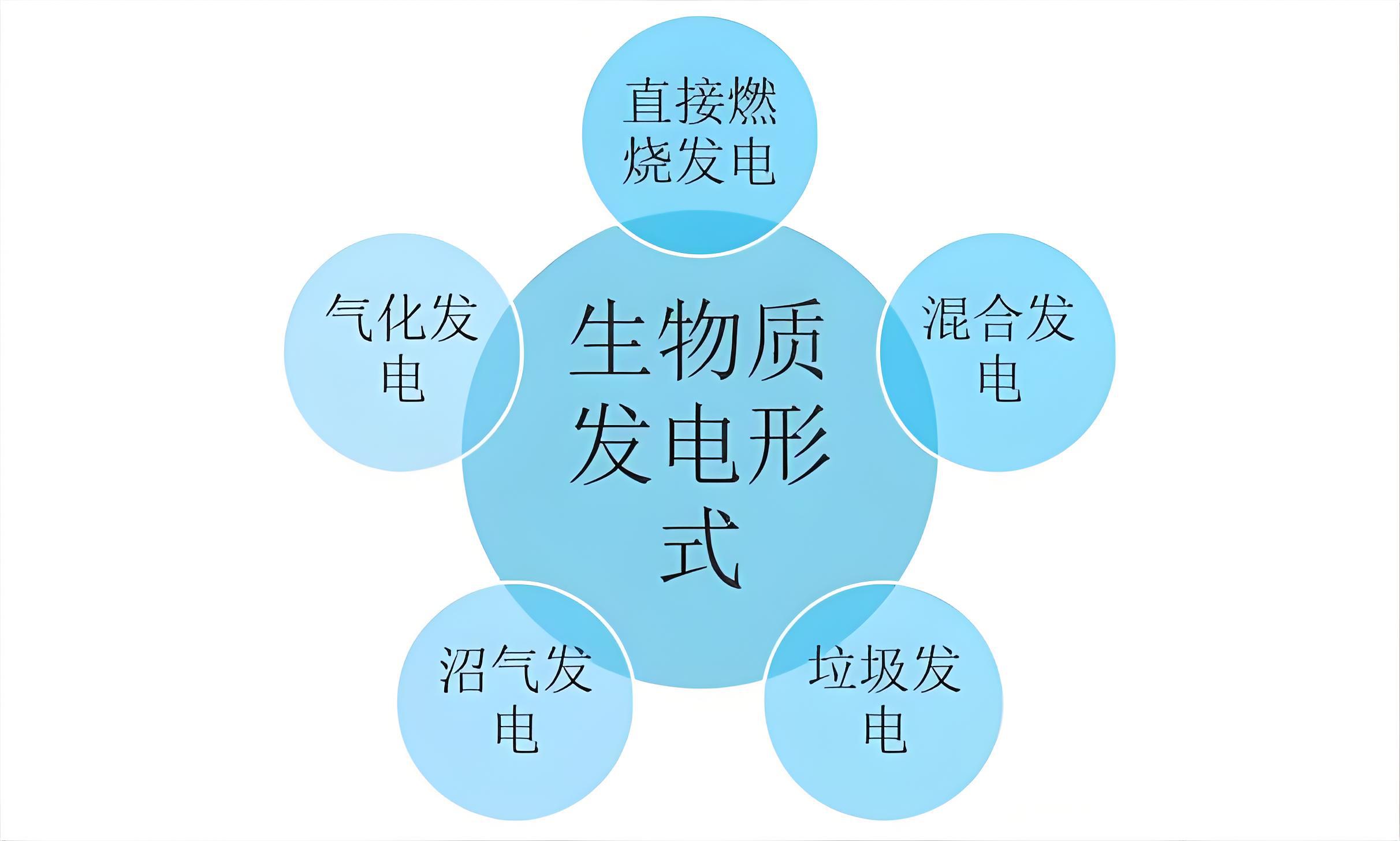 生物质发电形式.jpg