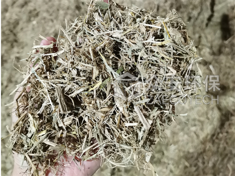 画板 1 拷贝 4.jpg