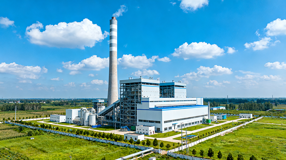 生物质掺烧发电.png