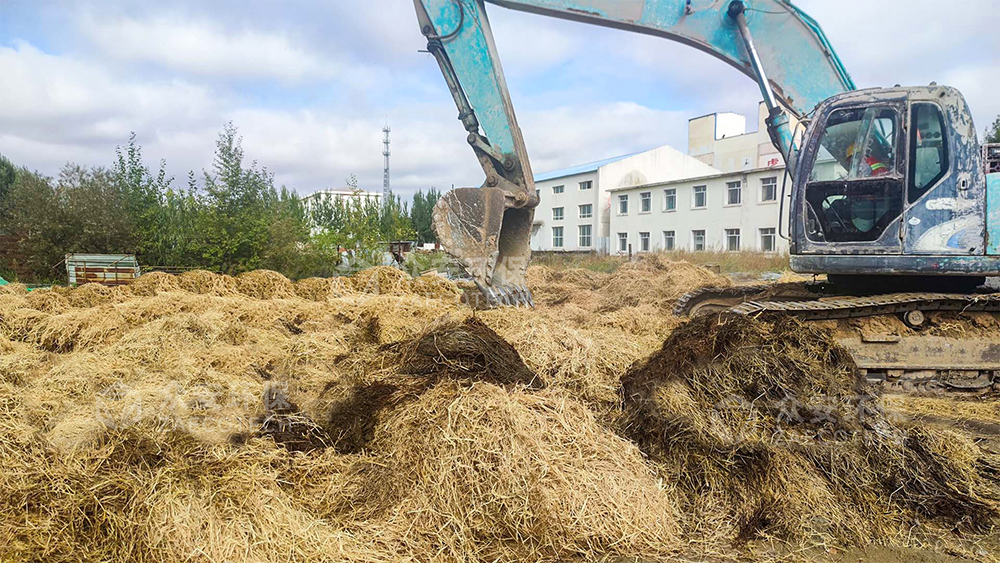 生物质替代燃料助力水泥行业降碳 北方水泥项目树行业标杆