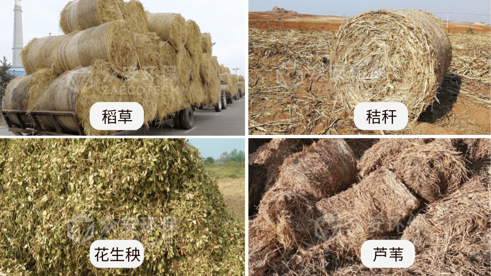 生物质掺烧解锁低碳新路径 标准化预处理赋能火电绿色转型